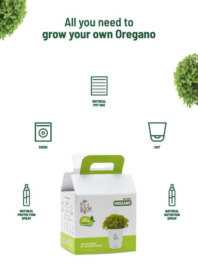 POT & BLOOM Pot And Bloom Oregano Home Garden Starter Kit: Oregano Seeds, Grow Your Own Oregano Plant, Pot, Pot Mix, Protection & Nutrition Spray All In One Kit Return Gift for Birthdays  - Image 2