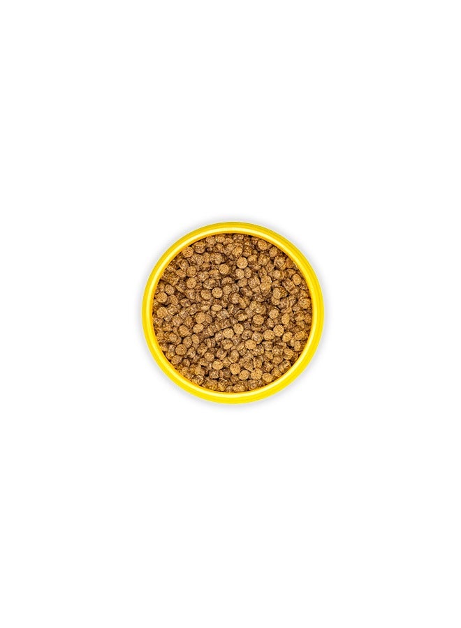 JBL Pronovo Fantail Grano M - 250ML - Image 2