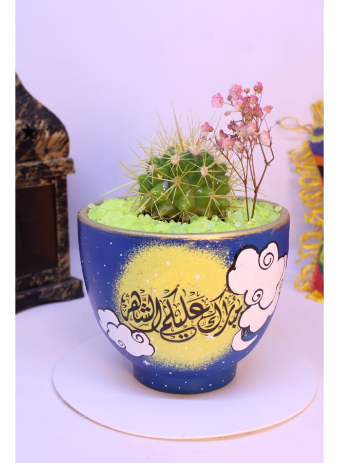 فاني بوت بوت صبار طبيعي 