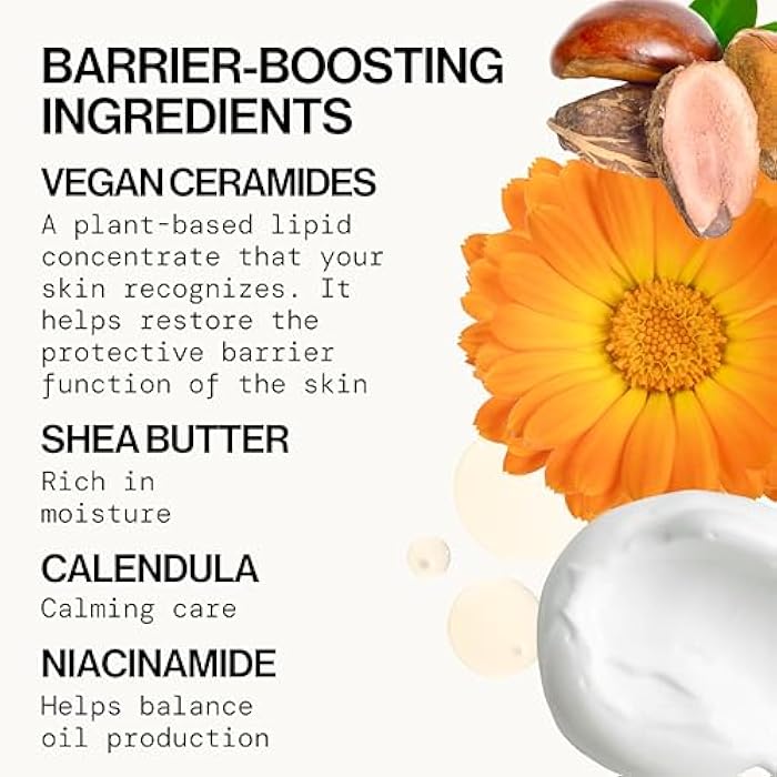 Pacifica Face Cream - Vegan Ceramide Barrier Cream w/Niacinamide & Shea Butter - Hydrating Daily Face Moisturizer Fragrance Free for Sensitive Skin, Vegan, Clean Beauty Allergy & Dermatologist Tested - Image 5