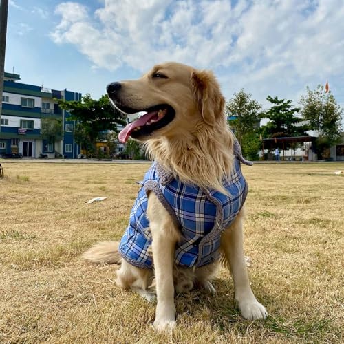 Lulala Warm Dog Coat, Puffer Dog Coat for Cold Weather, Quilting Winter Dog Jacket with Ultra Thick Plush Pockets (Blue-10 Inch) - Image 5
