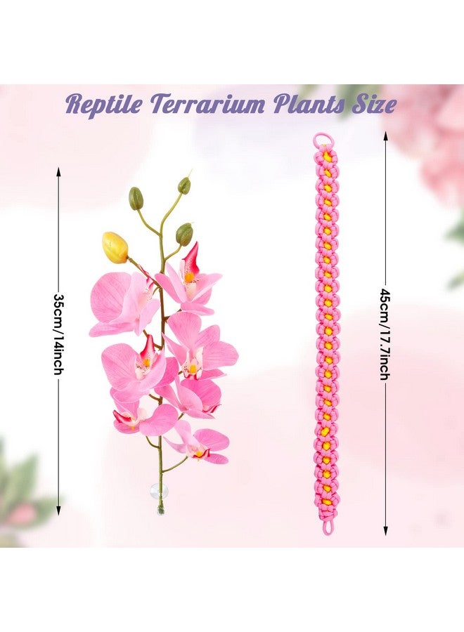 Reptile Plants,Amphibian Hanging Plants, Reptile Terrarium Plants Gecko Tank Accessories with Suction Cups Plants Terrarium Decor for Hermit Crab Lizards Geckos Snake Reptile - Image 4