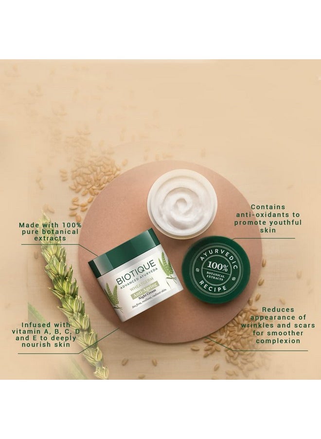 Biotique - Wheat Germ Anti- Ageing Night Cream | Reduces Fine Lines | Lightens Dark Spots | 100% Botanical Extracts | Suitable For All Skin Types | 50G - Image 1