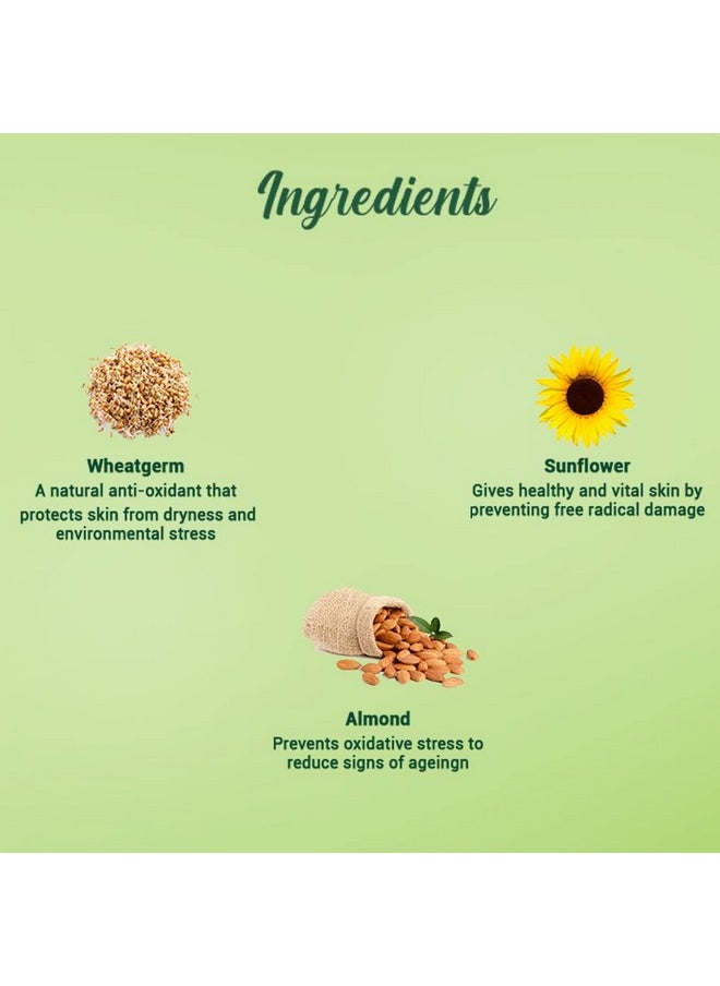 Biotique - Wheat Germ Anti- Ageing Night Cream | Reduces Fine Lines | Lightens Dark Spots | 100% Botanical Extracts | Suitable For All Skin Types | 50G - Image 1