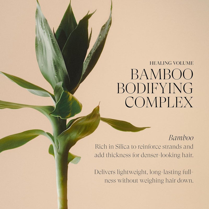 L'ANZA Root Effects Volumizer Hair Styling Mousse with Bamboo Bodifying Complex - Image 5