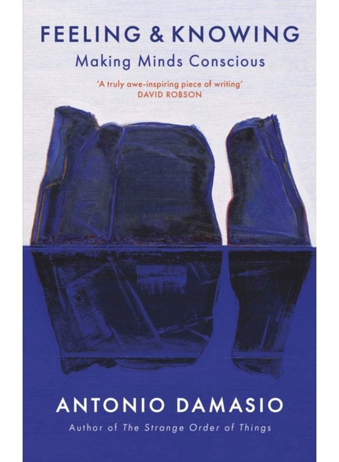 Feeling and Knowing Making Minds Conscious - Paperback