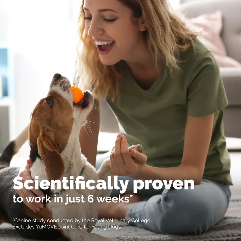 Yumove Dog Joint Supplement, Hip and Joint Supplement for Dogs with Glucosamine Chondroitin, Hyaluronic Acid, Green Lipped Mussel and Omega 3, Dog Hip and Joint Aches and Stiffness (300 Tasty Bites) - Image 4