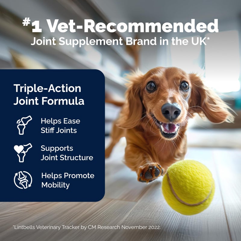 Yumove Dog Joint Supplement, Hip and Joint Supplement for Dogs with Glucosamine Chondroitin, Hyaluronic Acid, Green Lipped Mussel and Omega 3, Dog Hip and Joint Aches and Stiffness (300 Tasty Bites) - Image 3