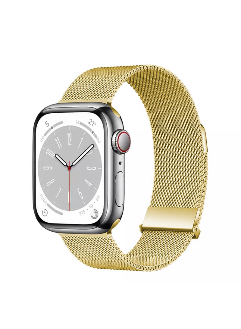 Y&D For Apple Watch Full Series 42/44/45/49mm Specification Universal Magnetic Strap - Image 2
