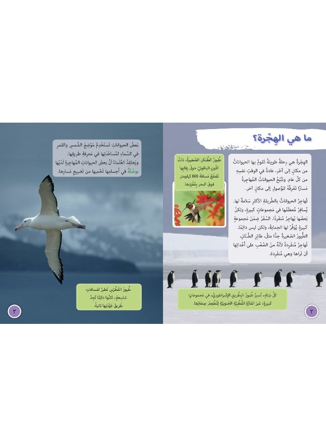 HarperCollins UK Animal Migration: Level 13  - Image 3