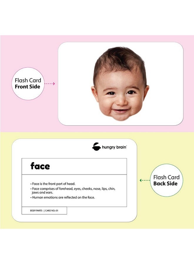 Hungry Brain hungry brain Flash Cards for Toddlers, 48 Body Parts & Actions Flashcards, Double-Sided, Montessori, Educational, Kindergarten - Preschool Learning Activities, Gifts for Kids, 1, 2, 3, 4 Years Babies  - Image 4