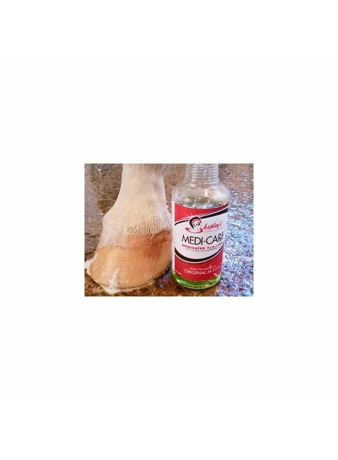Shapley's 076146 Medi-Care Med Shampoo W/Tea Tree & Lemon Grass, 950ml - Image 2