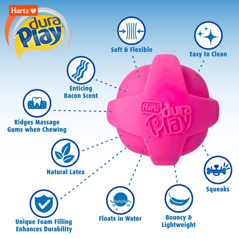 Hartz DuraPlay Bacon Scented Dog Toys, Large 1 Count, Colors may vary - Image 2