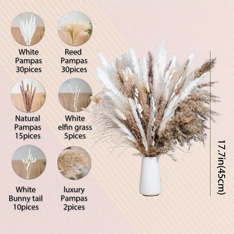 Bluejw Natural Dried Pampas Grass Boho Plants Decorative Dried Bouquet Wedding Home Decoration Dried Plants - Image 1