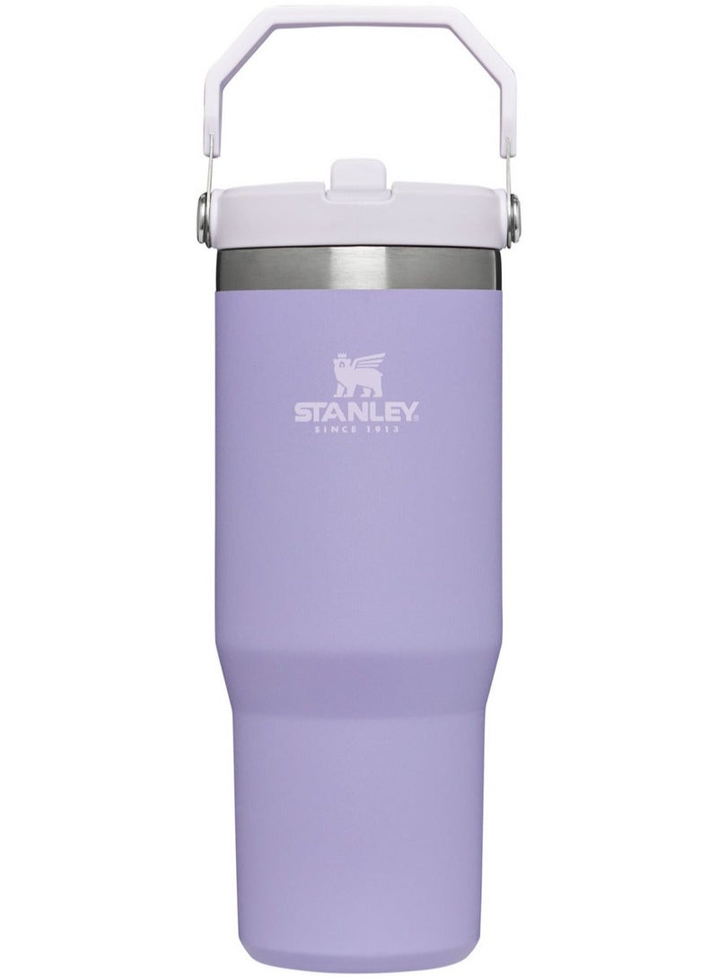 Stanley Large Capacity Insulated Water Bottle - Image 1