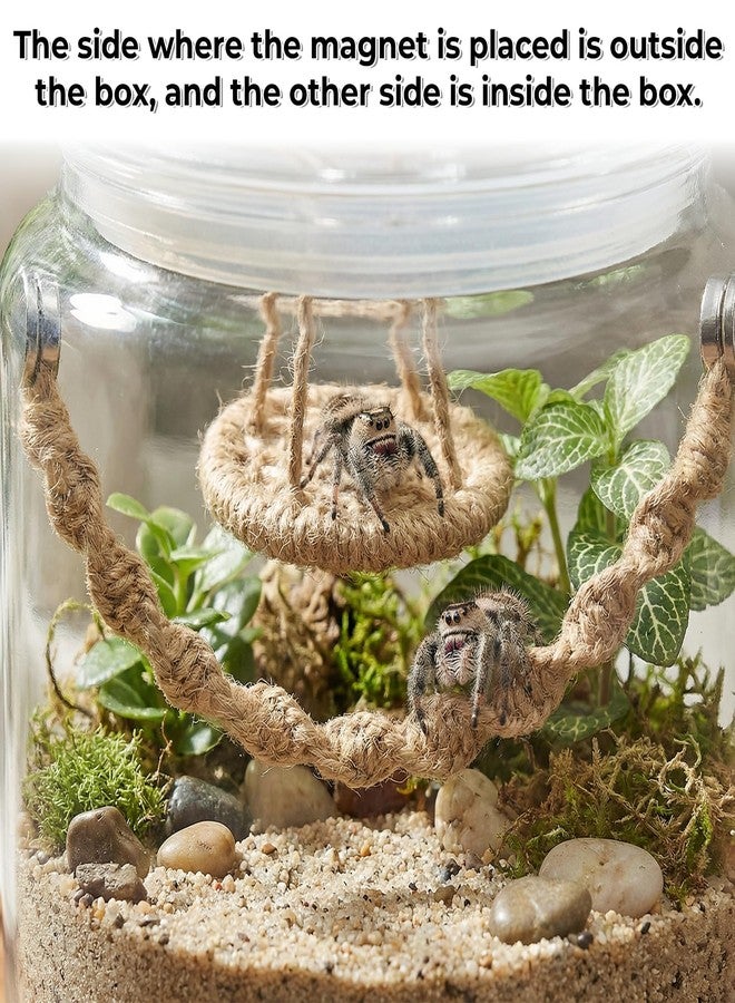 Psiriol Jumping Spider Rope Bridge Swings, Jumping-Spiders Swing Rest and Play Platform, Magnetic Mounting Jumping Spiders Climbing Rope, Spider Decor Accessories for Tiny Animal Enclosure Decorations (Brown) - Image 4