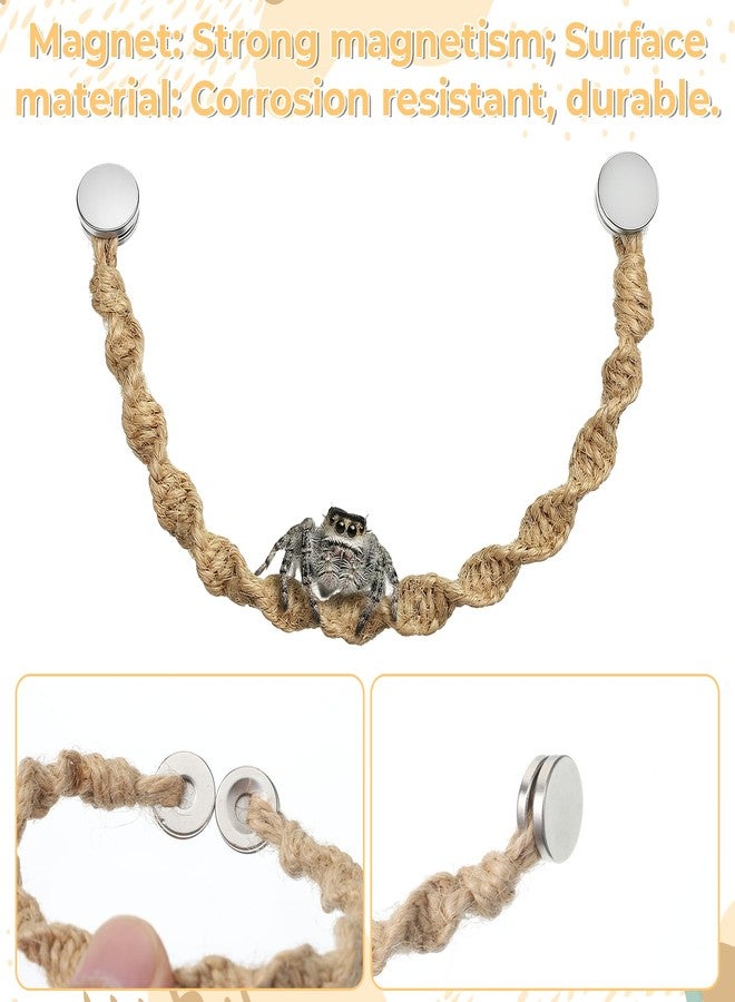 Psiriol Jumping Spider Rope Bridge Swings, Jumping-Spiders Swing Rest and Play Platform, Magnetic Mounting Jumping Spiders Climbing Rope, Spider Decor Accessories for Tiny Animal Enclosure Decorations (Brown) - Image 3