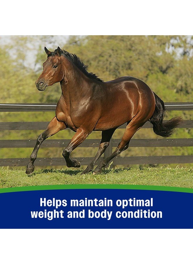 Farnam Weight Builder Horse Weight Supplement, Helps Maintain Optimal Weight and Body Condition with no Sugar Added, 7.5 pounds, 30 Day Supply - Image 2