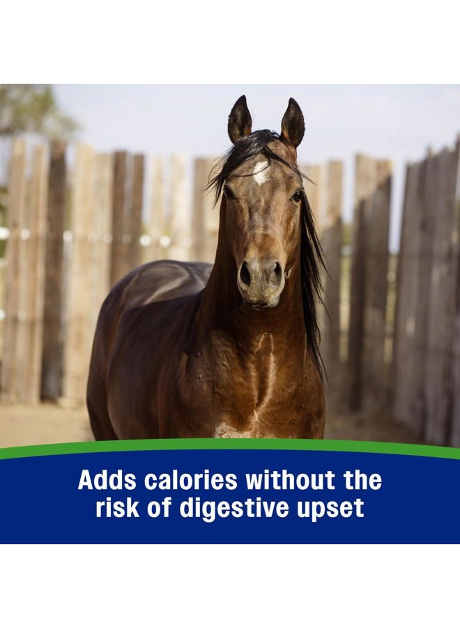 Farnam Weight Builder Horse Weight Supplement, Helps Maintain Optimal Weight and Body Condition with no Sugar Added, 7.5 pounds, 30 Day Supply - Image 3