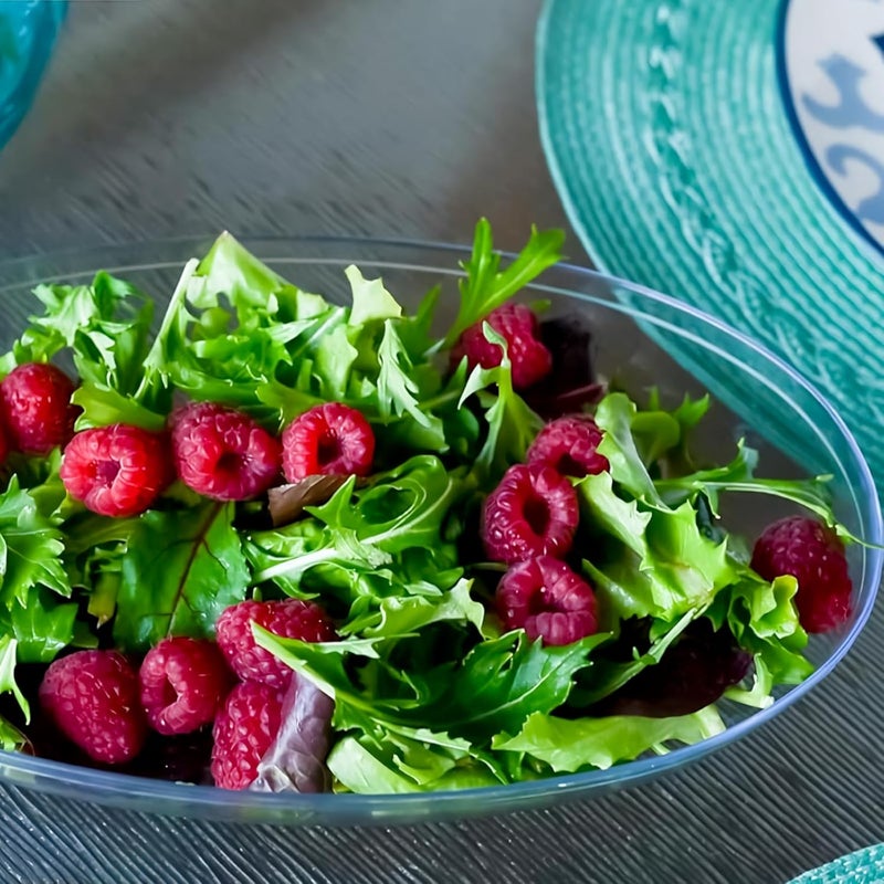 Blue Sky Bluesky Trading Oval Clear Small Plastic Serving Bowl  1 Count  Perfect for Salads Snacks  More - Image 3