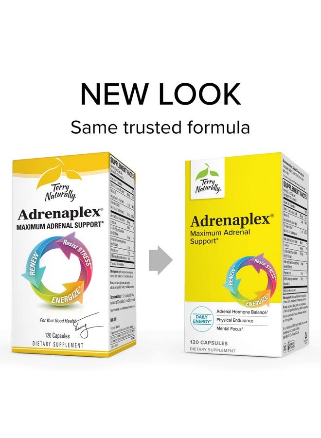 Terry Naturally Adrenaplex 120 Capsules Maximum Adrenal Support Supplement Promotes Daily Energy Mental Focus  Physical Endurance Nongmo Glutenfree 60 Servings - Image 3