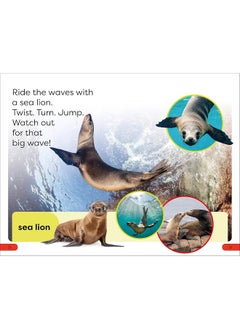 DK Super Readers Pre-Level Ocean Animals  - Image 5