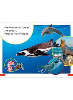 DK Super Readers Pre-Level Ocean Animals  - Image 4