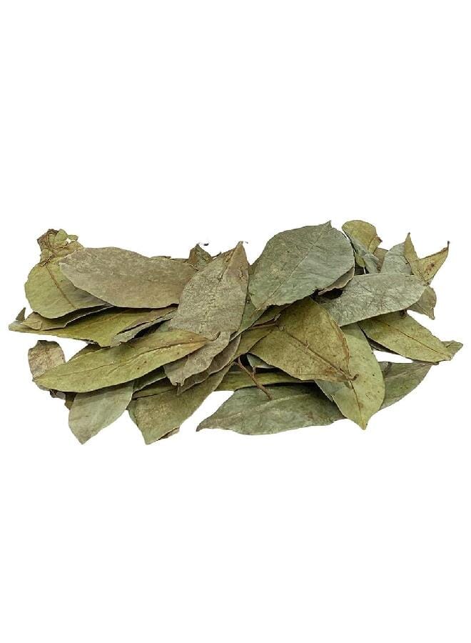 Yerbero - Whole Dried Graviola Soursop Leaves (4 oz - 330+ Leaves Per Bag) Hoja De Guanabana, 100% All Natural Delicious Fresh Tea | From Mexico | Premium Wildcrafted Quality. - Image 4