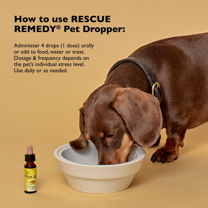 Rescue Remedy Pet Dropper - 20mL - Stress & Tension Support for Dogs & Cats with Bach Natural Flower Essences - Sedative-Free, Homeopathic Liquid Formula - For All Breeds, Ages & Weights - Image 3