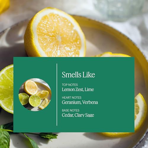 Aera Mini Home Hygiene Citrus and Sage - Essential Oil for Home - Fresh Zest Fragrance - Notes of Lemon, Lime and Geranium - Scent Refill - Capsule Size Works with Mini Diffuser - Image 2