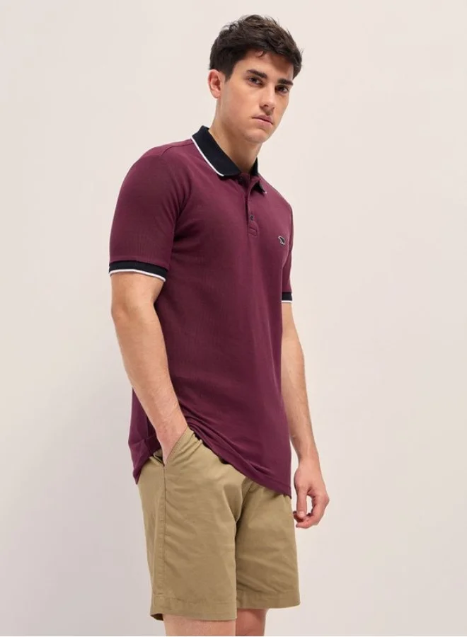 THE BEAR HOUSE Men's Polo Shirt for Casual & Semi-Formal Wear | Classic Collar Neck T-Shirt | Comfortable, Stylish & Versatile for Office, Travel, Outings & Everyday Use