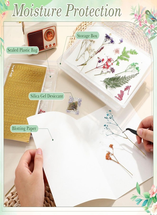 Geelin 5 Pcs Dried Flower Storage Set with Storage Box for A4 Size Blotting Paper Letter Stickers and Desiccant, Flower Preservation Kit for Keeping Color and Dry for DIY Pressed Crafts - Image 3