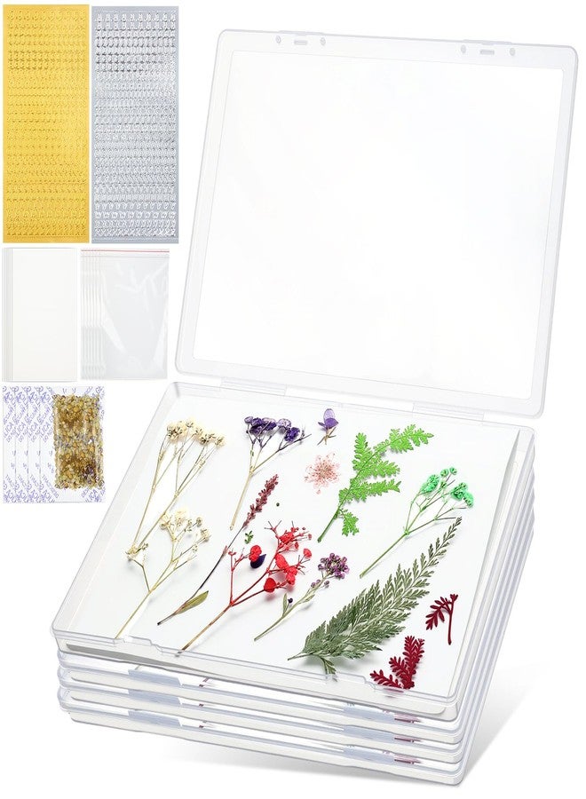 Geelin 5 Pcs Dried Flower Storage Set with Storage Box for A4 Size Blotting Paper Letter Stickers and Desiccant, Flower Preservation Kit for Keeping Color and Dry for DIY Pressed Crafts - Image 1