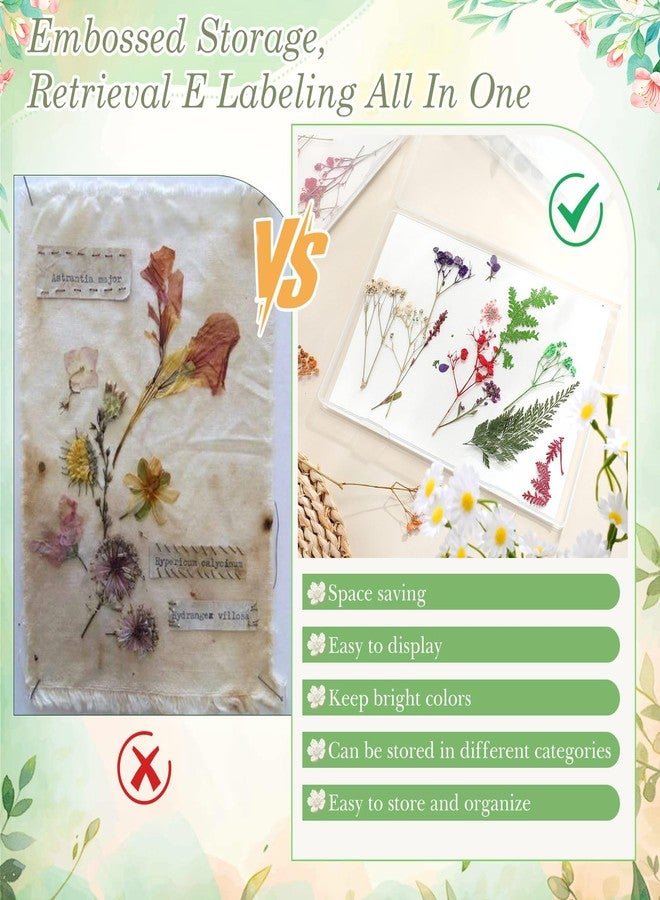 Geelin 5 Pcs Dried Flower Storage Set with Storage Box for A4 Size Blotting Paper Letter Stickers and Desiccant, Flower Preservation Kit for Keeping Color and Dry for DIY Pressed Crafts - Image 5