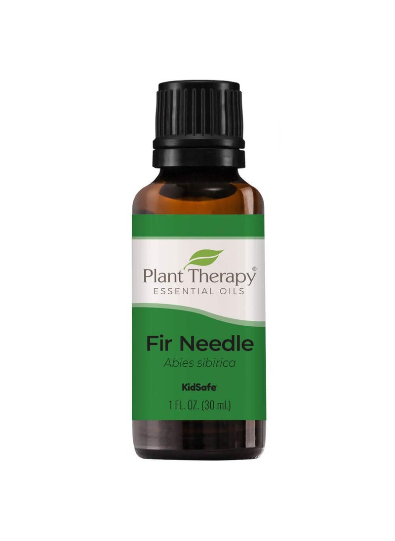 Plant Therapy Plant Therapy Fir Needle Essential Oil 30 mL (1 oz) 100% Pure, Undiluted, Therapeutic Grade 