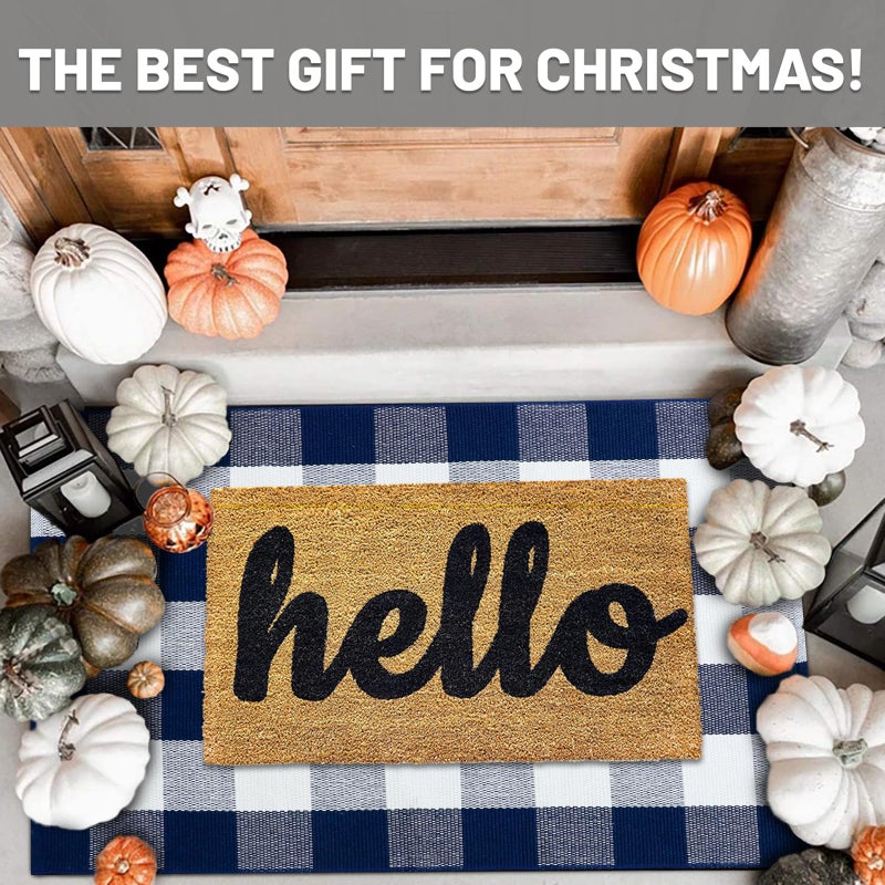 IOHOUZE Buffalo Plaid Checkered Rug 27.5" X 43" Front Door Mats, Washable Area Rugs for Front Porch Decor, Spring Summer Welcome Mats Outdoor, Navy White Rug for Farmhouse/Entryway/Home Entrance - Image 2