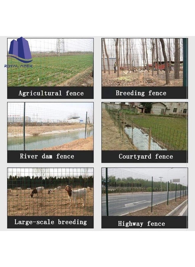 Royal Apex Wire Mesh Fencing, Galvanized Pvc Coated Garden Fencing Green Steel Nets For Farming Plant Fence, Barriers Chicken Wire Fence And Animals Aviaries Hen-Houses Small  - Image 5