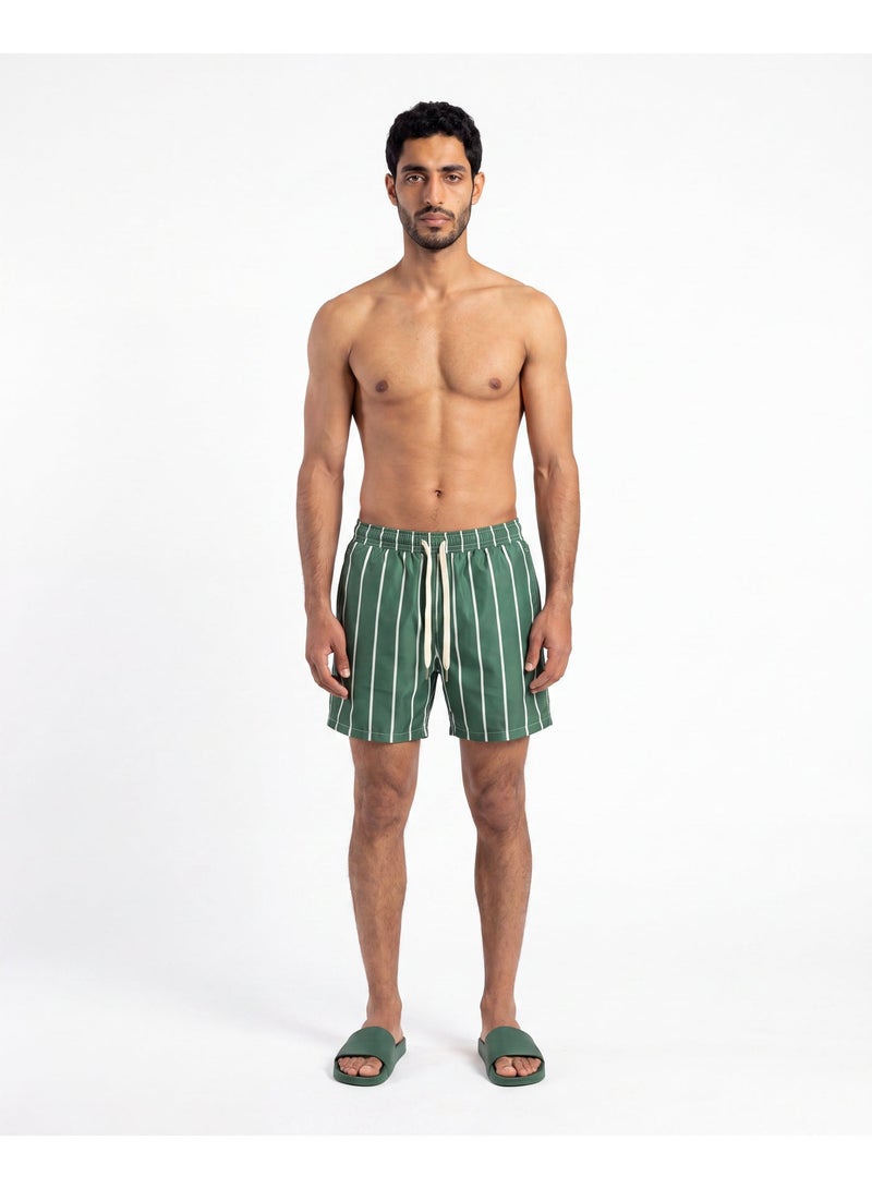 Men's Quick Dry Striped Swim Shorts - Image 1