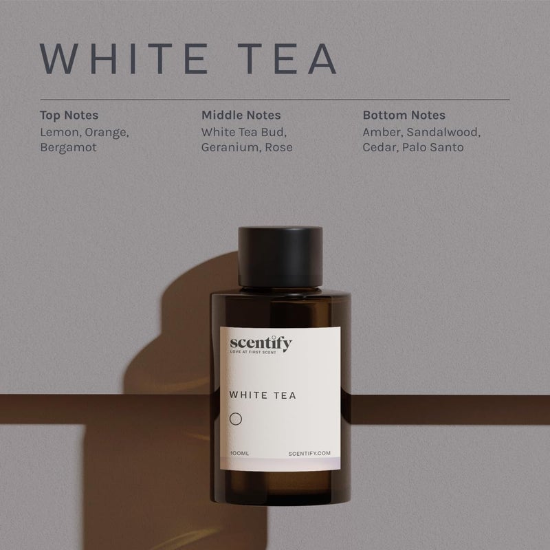 Scentify عطر زيت الشاي الأبيض للبخاخات الزيتية من سنتيفي - زيت عطري فاخر بنغمات الحمضيات والزهور والمسك والعنبر - عطر بخاخ عطري مريح غير سام وصديق للحيوانات الأليفة 3.4 أونصة - Image 3