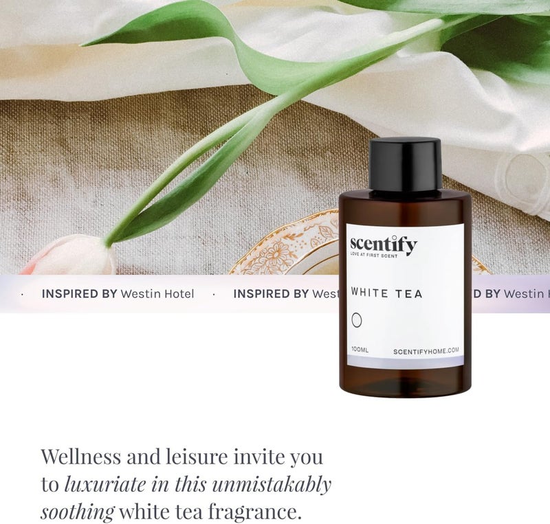 Scentify عطر زيت الشاي الأبيض للبخاخات الزيتية من سنتيفي - زيت عطري فاخر بنغمات الحمضيات والزهور والمسك والعنبر - عطر بخاخ عطري مريح غير سام وصديق للحيوانات الأليفة 3.4 أونصة - Image 4