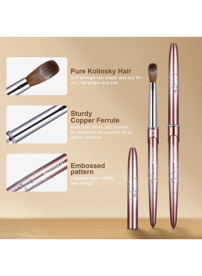 KEMEISI Acrylic Nail Brush Size 8Kemeisi 100% Pure Kolinsky Nail Art Brushes Sturdy Handle Oval Shaped Acrylic Powder Nail Design Tools For Professional Manicure Diy Home Salon (Brown Gradient)  - Image 2
