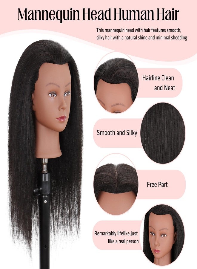 Demides Mannequin Head 100% Real Human Hair 16", Mannequin Head Human Hair Cosmetology Doll Head for Hair Styling, Manikin Head for Braiding With Clamp Holder - Image 2