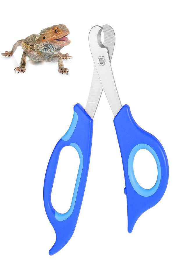 Quilax Stainless Steel Bearded Dragon Nail Clippers, Reptile Clippers for Small Reptiles, Turtle, Chameleon, Hedgehog(Blue) - Image 1