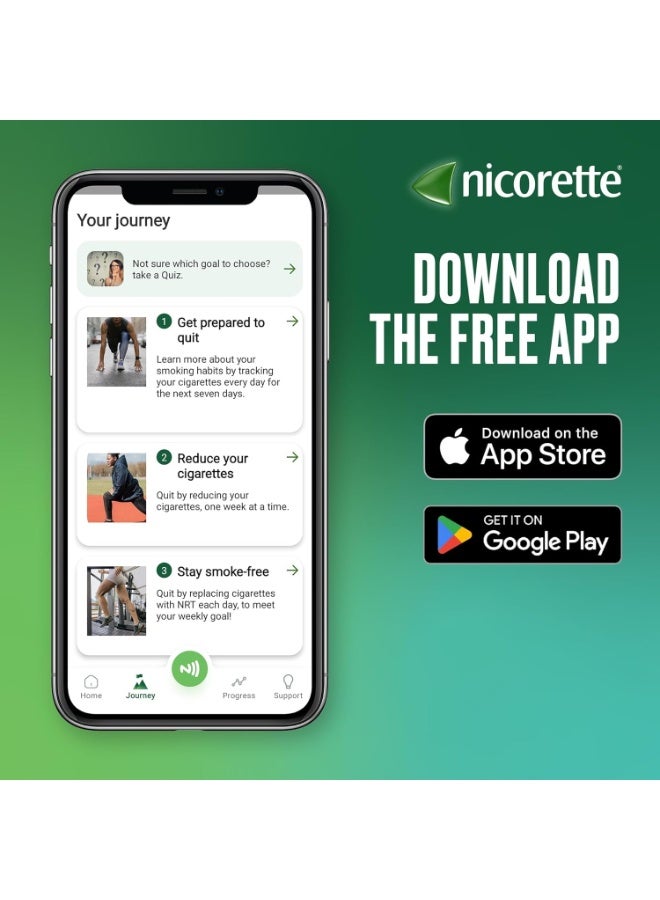 نيكوريت كويك ميست سمارت تراك – ١ ملغ / رذاذ فموي – نيكوتين، ٢×١٥٠ رشة - Image 5