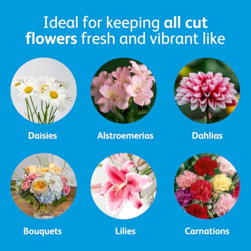 Chrysal Flower Boost – Clear Flower Food Packets for Flower Arrangements & Bouquets – Floral Supplies for Fresh Flowers – Fresh Flower Arrangements Supplies (10g - 100 Ct) - Image 4