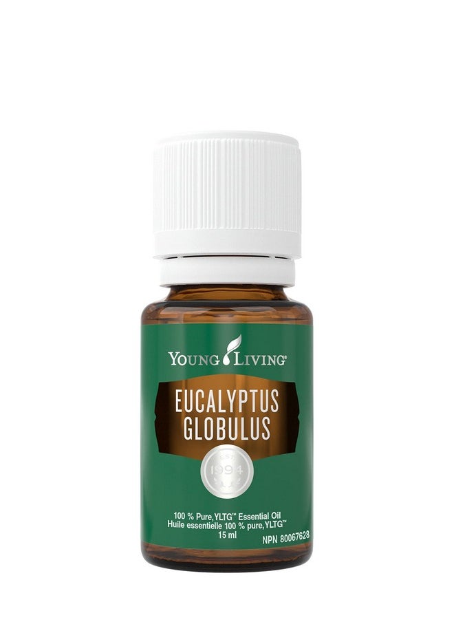 Young Living Eucalyptus Globulus Essential Oil 15Ml - Pure & Revitalizing Aromatherapy - Breathe Easy & Refresh Your Senses-Topical & Aromatic-Supports Respiratory Health & Natural Well-Being Journey  - Image 1
