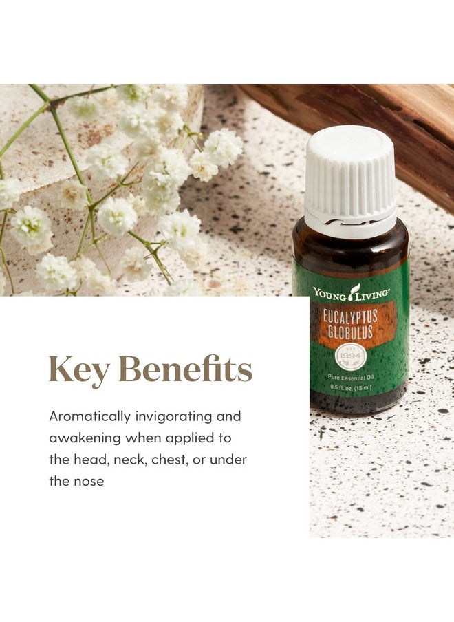 Young Living Eucalyptus Globulus Essential Oil 15Ml - Pure & Revitalizing Aromatherapy - Breathe Easy & Refresh Your Senses-Topical & Aromatic-Supports Respiratory Health & Natural Well-Being Journey  - Image 4