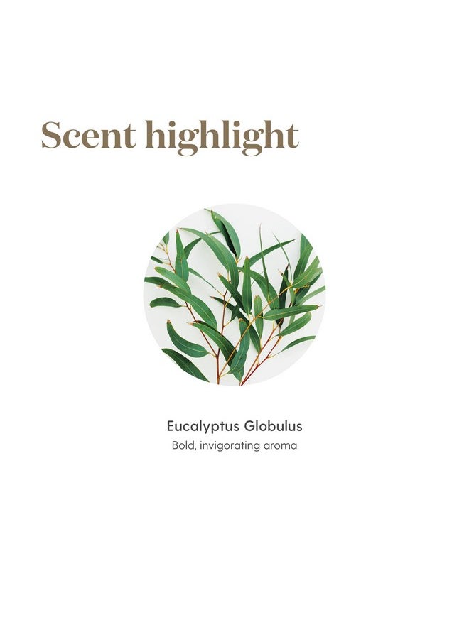 Young Living Eucalyptus Globulus Essential Oil 15Ml - Pure & Revitalizing Aromatherapy - Breathe Easy & Refresh Your Senses-Topical & Aromatic-Supports Respiratory Health & Natural Well-Being Journey  - Image 5