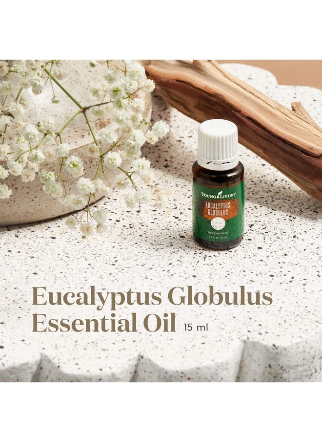 Young Living Eucalyptus Globulus Essential Oil 15Ml - Pure & Revitalizing Aromatherapy - Breathe Easy & Refresh Your Senses-Topical & Aromatic-Supports Respiratory Health & Natural Well-Being Journey  - Image 2