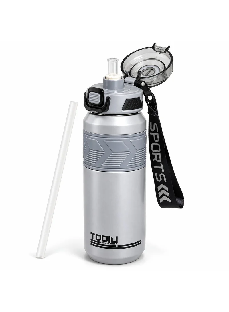 Tooly 650ml Stainless Steel Vacuum Insulated Sports Water Bottle Flask with Straw Lid & Carrying Strap – 304 Food-Grade Double Wall Hot (12h) & Cold (24h) Travel Tumbler, BPA Free, Leak-Proof (Grey)